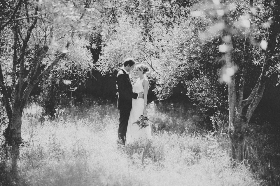 Olive Grove Orchard Wedding Photography