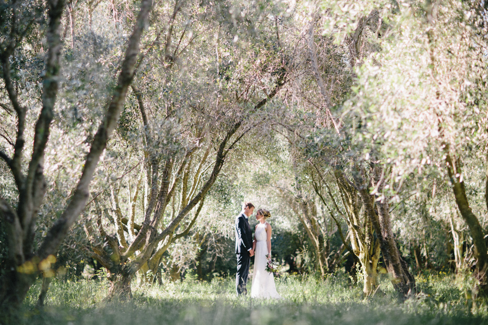 Olive Orchard Wedding Photo, Featherston Photography